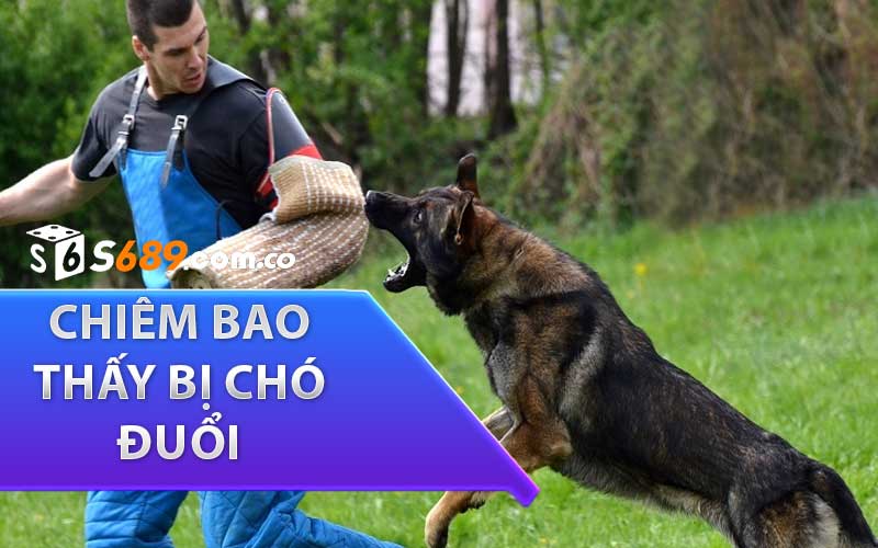 chiêm bao thấy bị chó đuổi