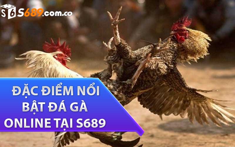 những đặc điểm nổi bật đá gà online tại s689