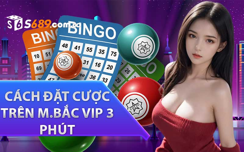 Hướng dẫn cách đặt cược trên M.Bắc VIP 3 Phút